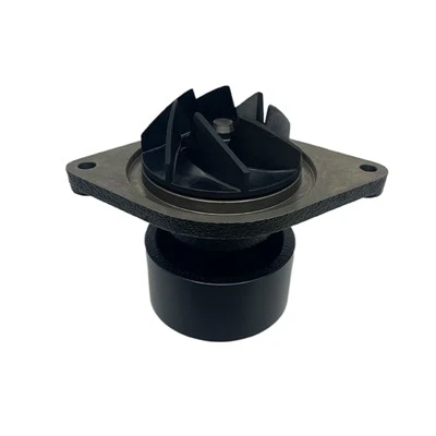 G4891252 /Cummins ISX 15 /5.9L 24V Dlo ak ponp rapèl